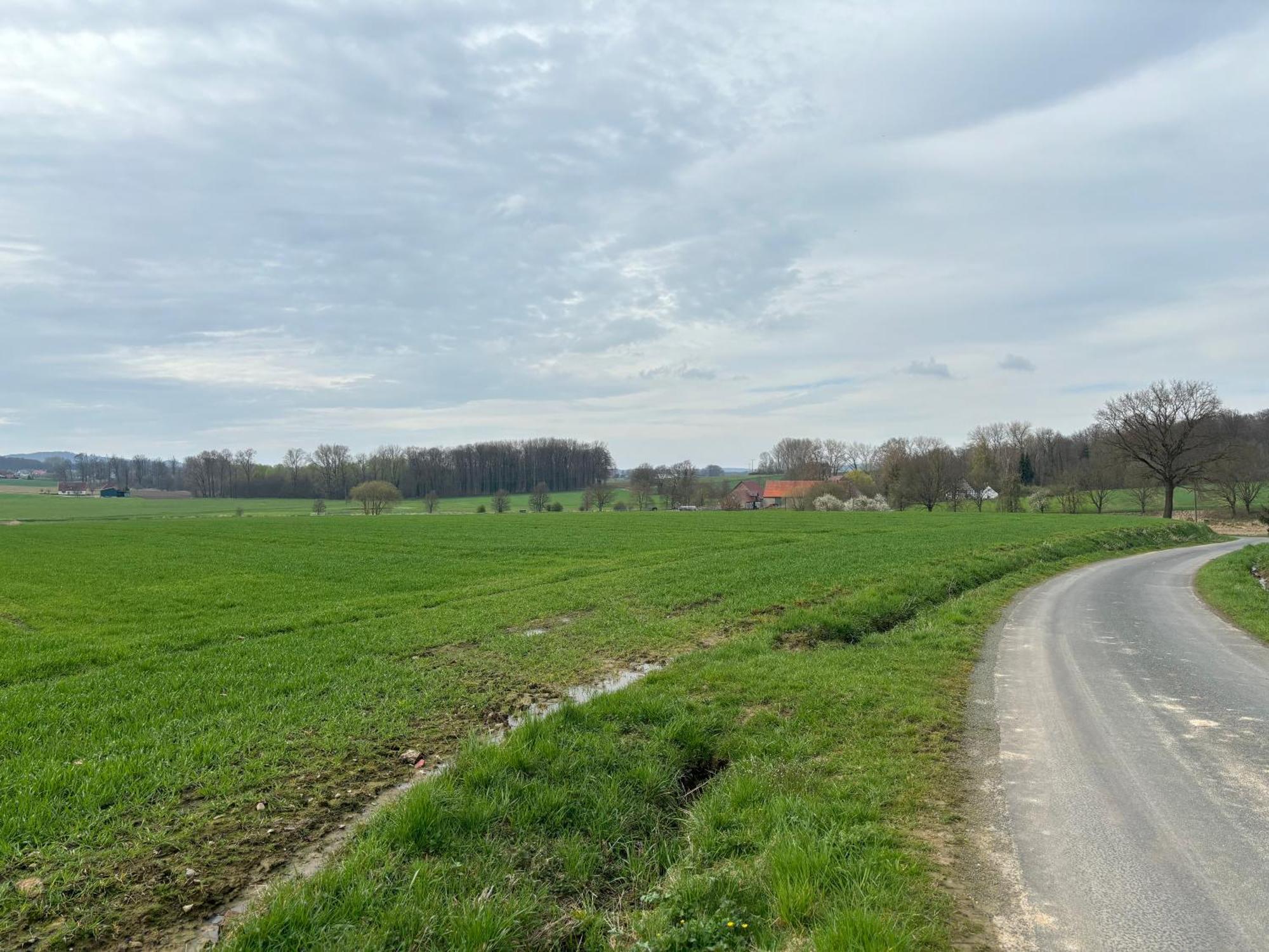 Scheunenwohnung In Der Natur Melle Esterno foto